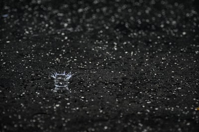 Black on the surface of the water droplets
